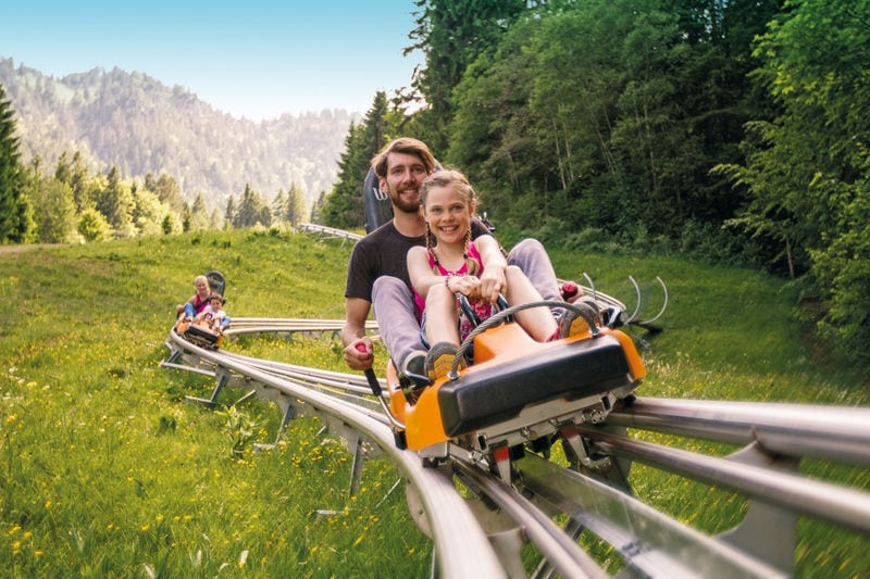 Firma cu experien n construc ia de alpine coaster preia